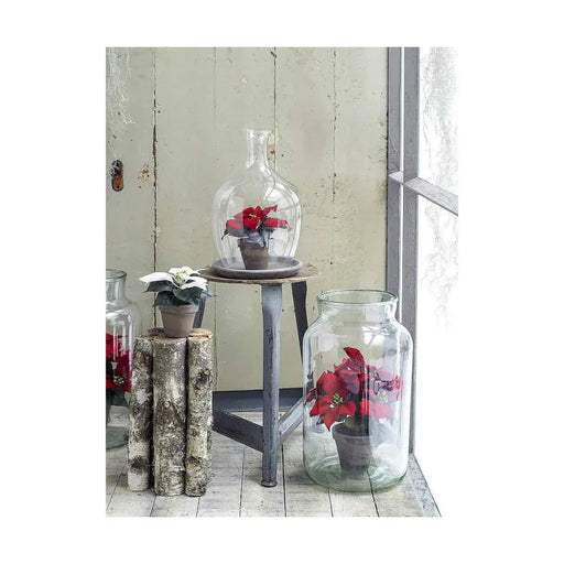 Декоративно Растение Mica Decorations Червен PVC