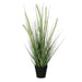 Декоративно Растение Mica Decorations Dogtail PVC