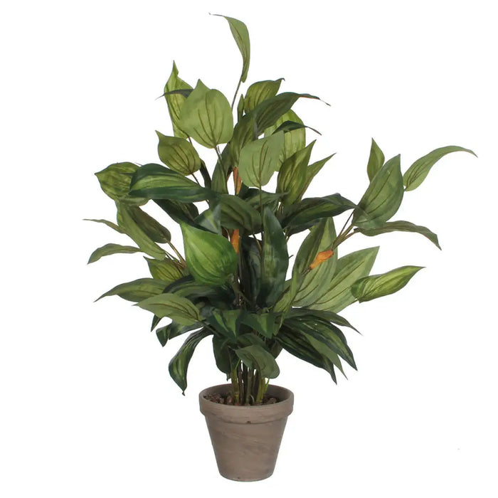 Декоративно Растение Mica Decorations Hosta Зелен PVC (15,5