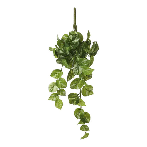 Декоративно Растение Mica Decorations Potos 14 x 58 x 20 cm