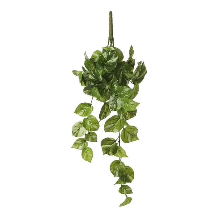 Декоративно Растение Mica Decorations Potos 14 x 58 x 20 cm