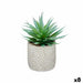 Декоративно Растение Ibergarden QY-H012 QY-H012 Дървен