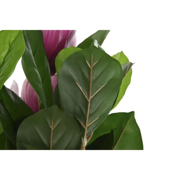 Декоративно Растение DKD Home Decor Розов Зелен PE (60 x 60