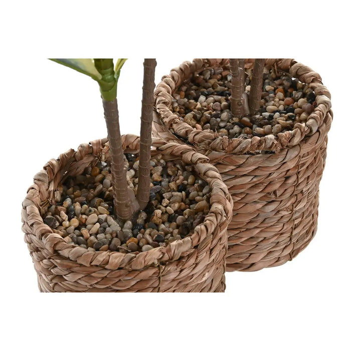 Декоративно Растение Home ESPRIT полиетилен влакно 30 x 30