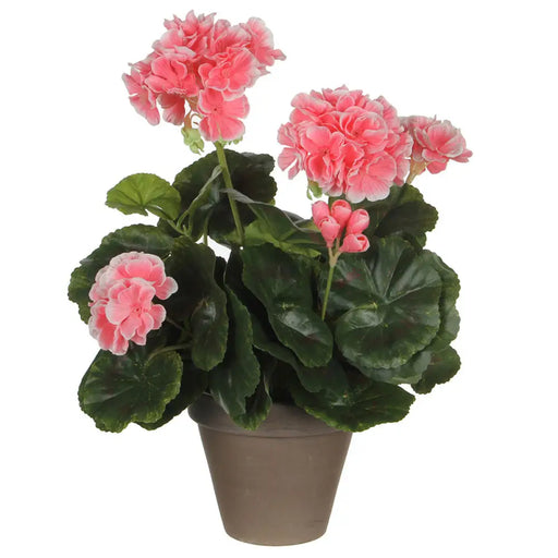 Декоративно Растение Mica Decorations PVC Здравец (11,5 x