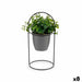 Декоративно Растение Ibergarden QY-H093 QY-H093 Метал