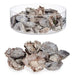 Decorative Flowers Gift Decor 25-5343 25-5343 Естествен 9 x
