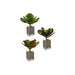 Декоративно Растение Ibergarden YD0001 YD0001 Пластмаса