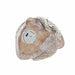 Декоративна фигурка DKD Home Decor Зелен Розов Естествен