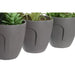 Декоративно Растение DKD Home Decor Сив Бежов полиетилен