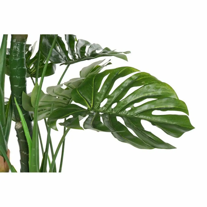 Декоративно Растение DKD Home Decor Полипропилен (PP) EVA