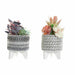 Декоративно Растение DKD Home Decor Кактус Смола полиетилен