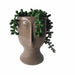 Декоративно Растение DKD Home Decor Керамика PE (11 x 10 x