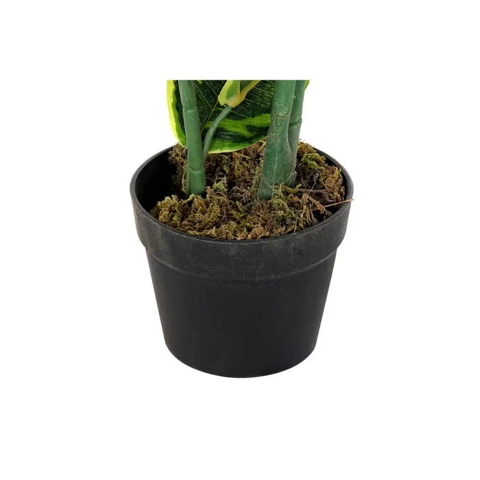 Декоративно Растение DKD Home Decor полиетилен Зелен 40 x