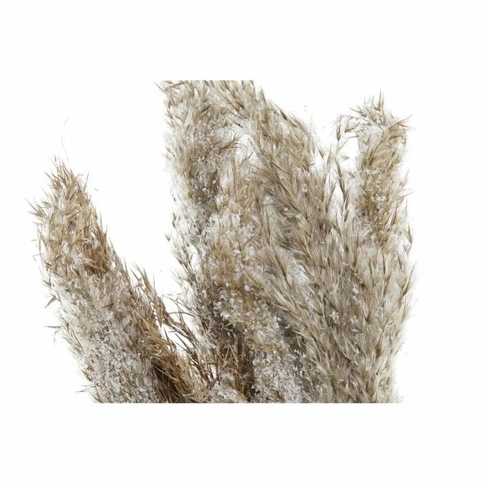 Декоративно Растение DKD Home Decor PVC Пера Естествен 35 x