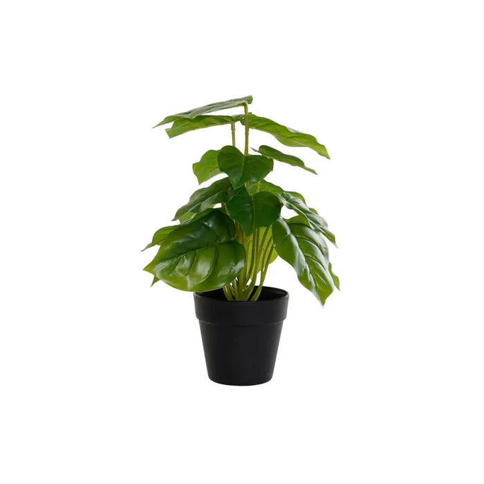 Декоративно Растение DKD Home Decor PVC полипропилен 20 x