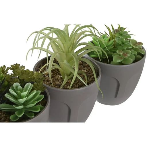 Декоративно Растение DKD Home Decor Сив Бежов полиетилен