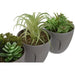 Декоративно Растение DKD Home Decor Сив Бежов полиетилен