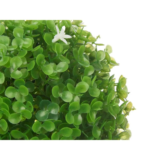 Декоративно Растение Ibergarden 556 556 Пластмаса Lilled