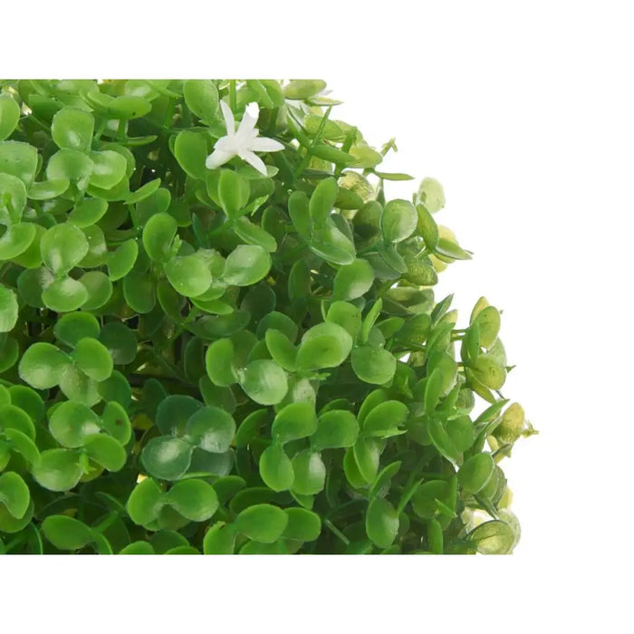 Декоративно Растение Ibergarden 556 556 Пластмаса Lilled