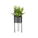 Декоративно Растение Ibergarden QY-H096 QY-H096 Метал