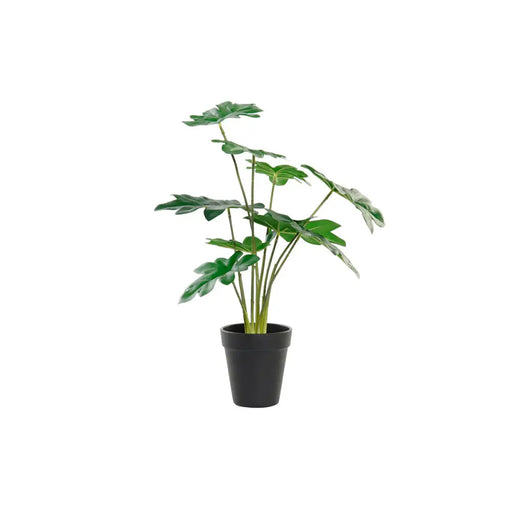 Декоративно Растение DKD Home Decor Зелен PE (20 x 20 x 40