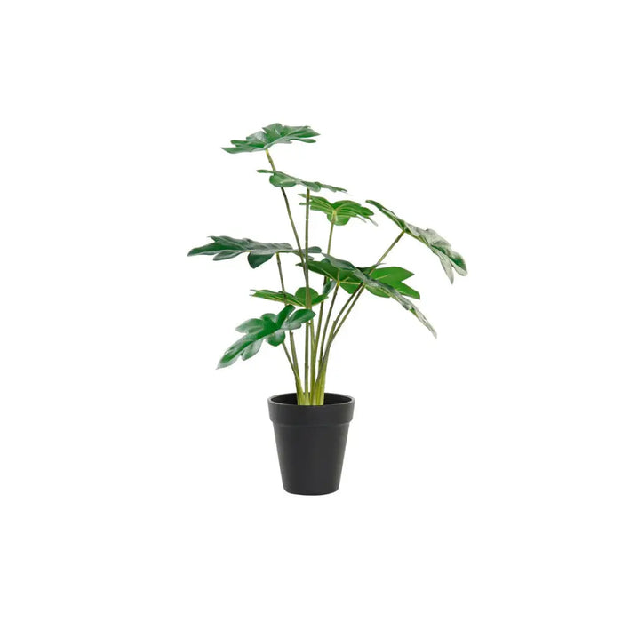 Декоративно Растение DKD Home Decor Зелен PE (20 x 20 x 40