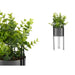 Декоративно Растение Ibergarden QY-H096 QY-H096 Метал