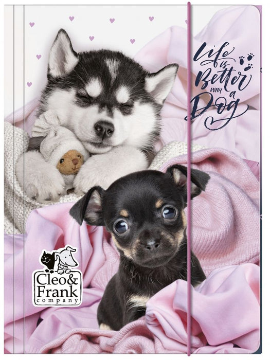 Папка с ластик Derform Cleo & Frank 38 - A4