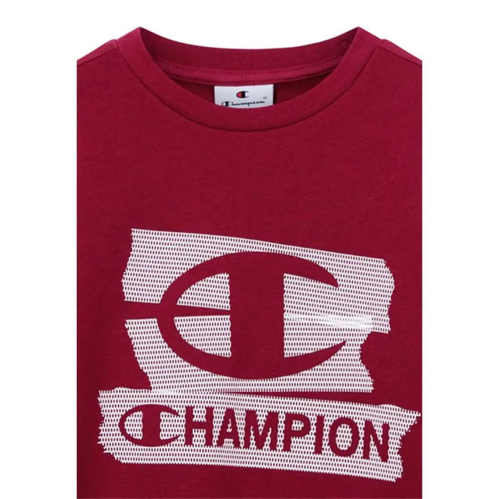 Детски суичър без качулка Champion Graphic Shop Кестен