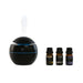 Дифузер за Етерично Масло Home ESPRIT 10 ml (4 Части)