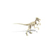 Динозавър Clementoni Archéo Ludic Vélociraptor