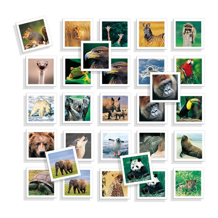 Образователна Игра Diset Memo Photo Animales 54 Части