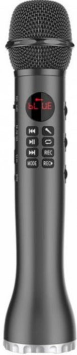 Микрофон DIVA L-598