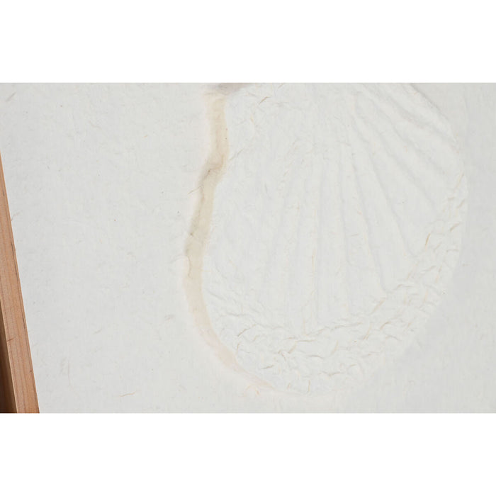 Картина DKD Home Decor Раковини 50 x 2 x 50 cm Средиземноморско (6 Части)