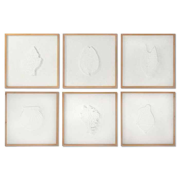 Картина DKD Home Decor Раковини 50 x 2 x 50 cm Средиземноморско (6 Части)