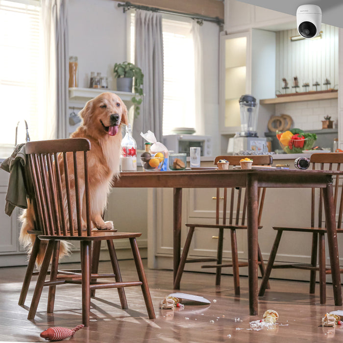 Dreame Navo Care SE 1 Incam вътрешна камера - бяла