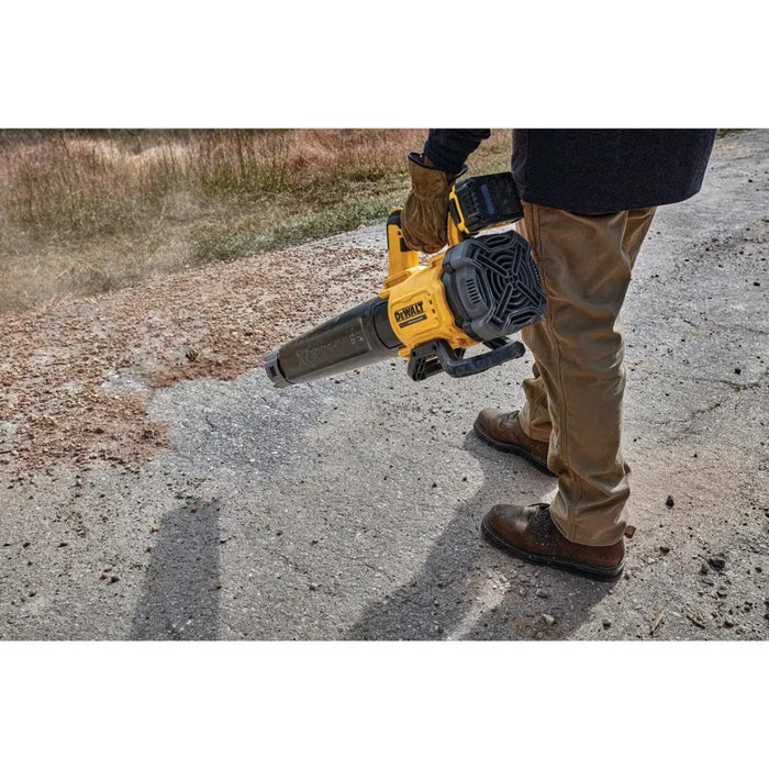 Духалка за листа DeWALT DCMBL562N-XJ