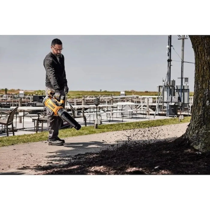 Духалка за листа DeWALT DCMBL777X1-QW