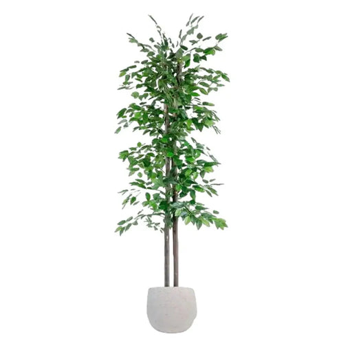 Дърво Home ESPRIT полиестер Дървен 80 x 80 x 180 cm
