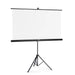 Екран на стойка 155x155 cm 2 в 1 21574