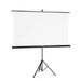Екран на стойка 180x180 cm 2 в 1 мобилен комплект 21573