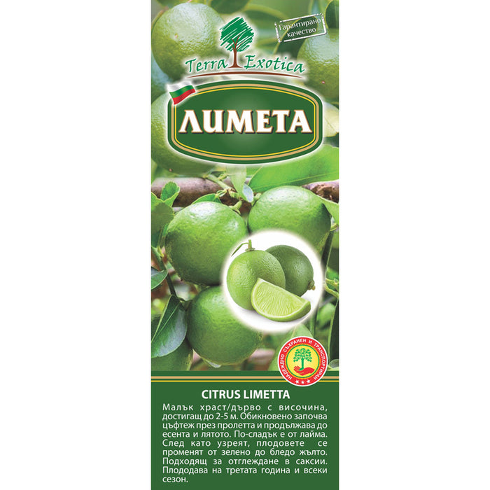 КОРЕН ЛИМЕТА/ЛАЙМ EKZOTIKA