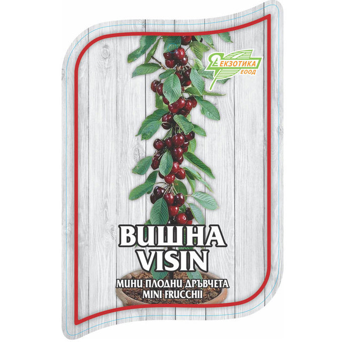 МИНИ ПЛОДНИ ДРЪВЧЕТА EKZOTIKA