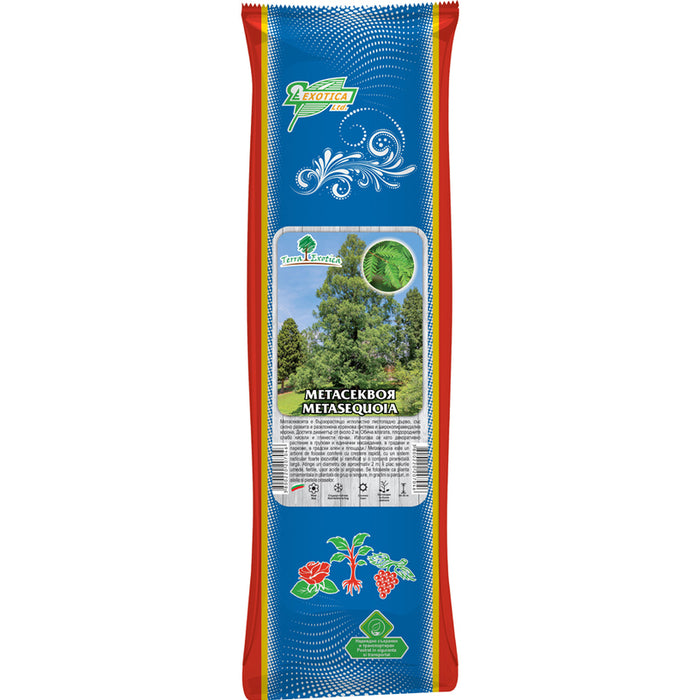 КОРЕН МЕТАСЕКВОЯ EKZOTIKA