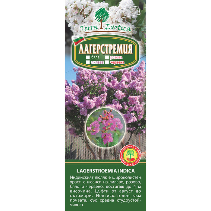 КОРЕН ЛАГЕРСТРОЕМИЯ ИНДИКА EKZOTIKA
