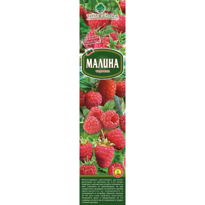 КОРЕН МАЛИНА EKZOTIKA