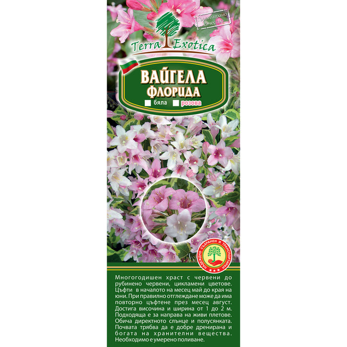 WEIGELA FLORIDA EKZOTIKA