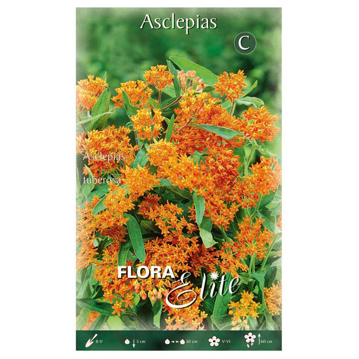SPRING BULBS ASCLEPIAS TUBEROSA ELITE