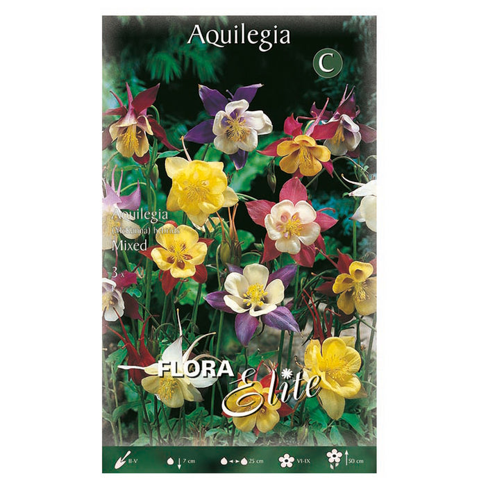 SPRING BULBS AQUILEGIA ELITE